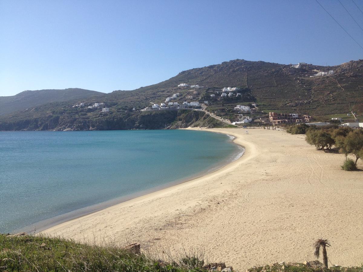 Andromeda Mykonos Villas & Suites Kalo Livadi Dış mekan fotoğraf