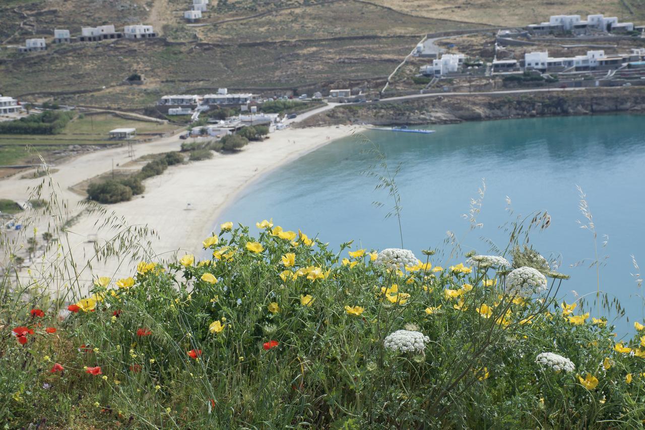 Andromeda Mykonos Villas & Suites Kalo Livadi Dış mekan fotoğraf