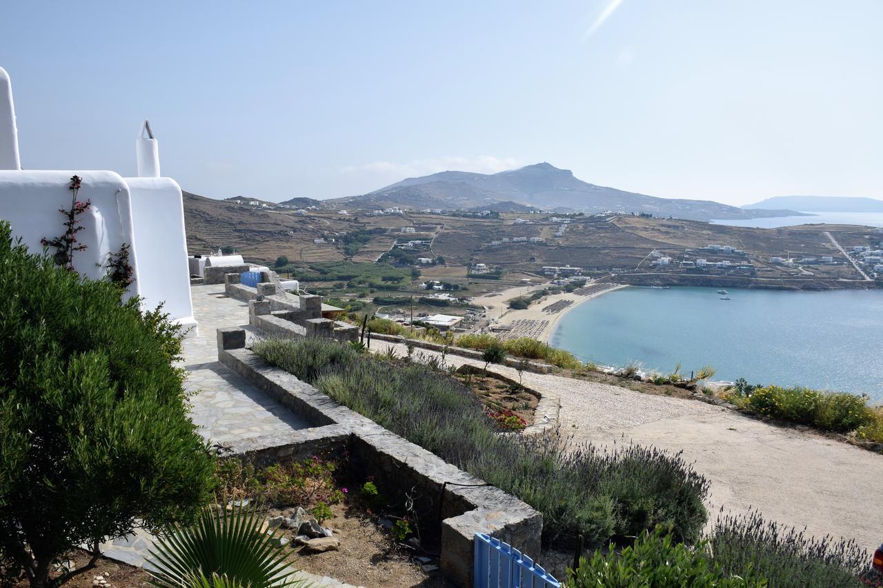 Andromeda Mykonos Villas & Suites Kalo Livadi Dış mekan fotoğraf