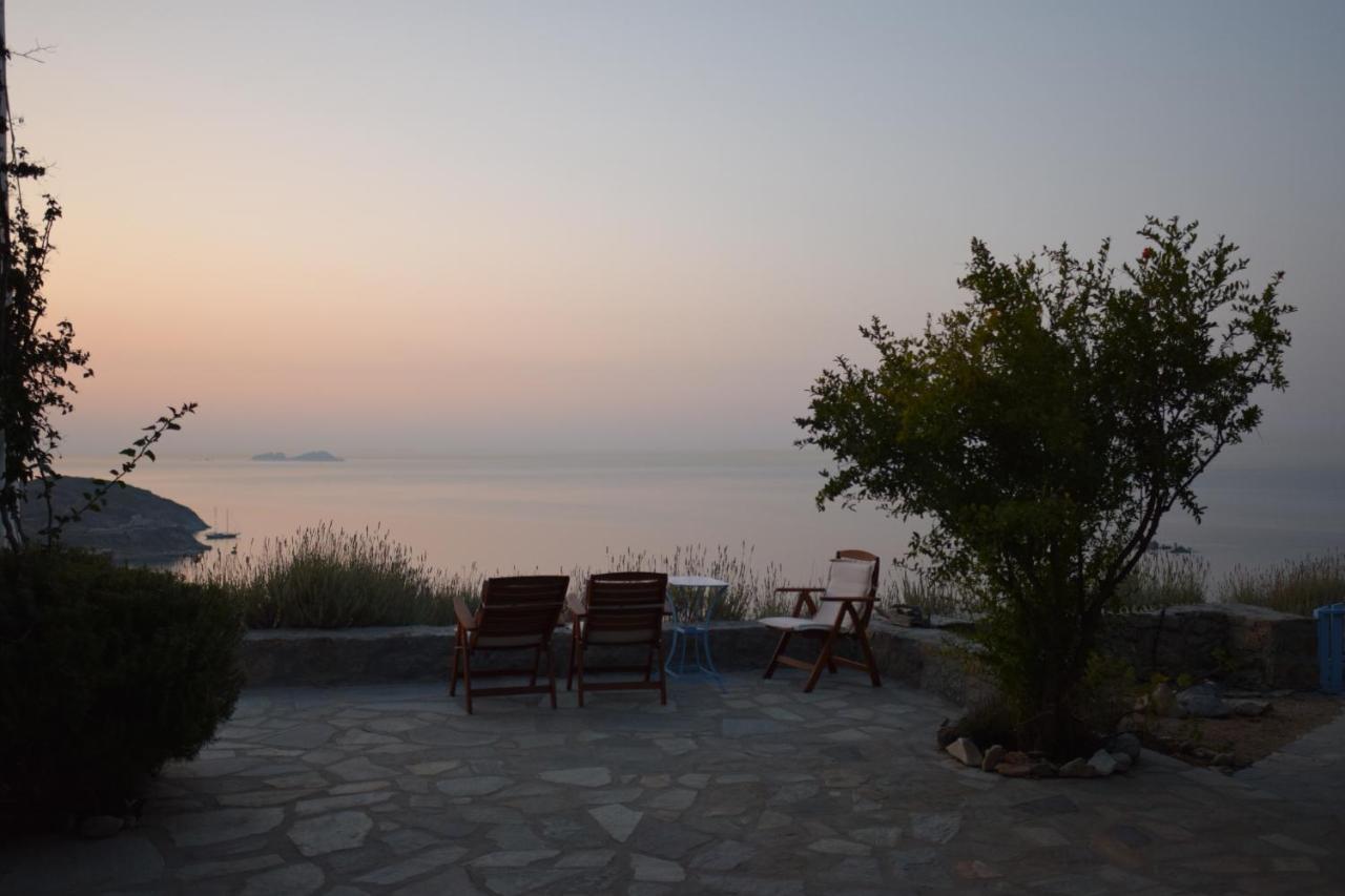 Andromeda Mykonos Villas & Suites Kalo Livadi Dış mekan fotoğraf